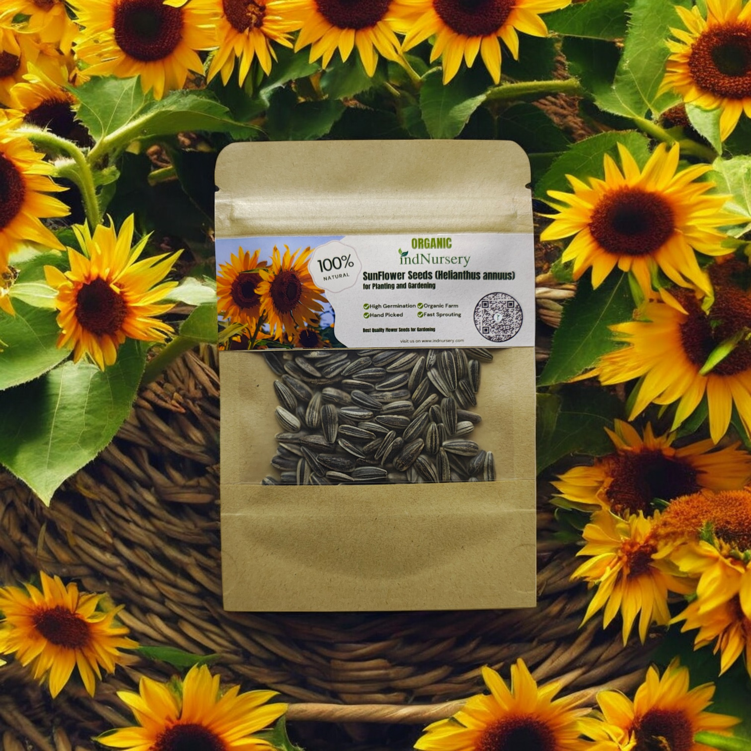 IndNursery SunFlower Seeds (Pack of 10 gms)